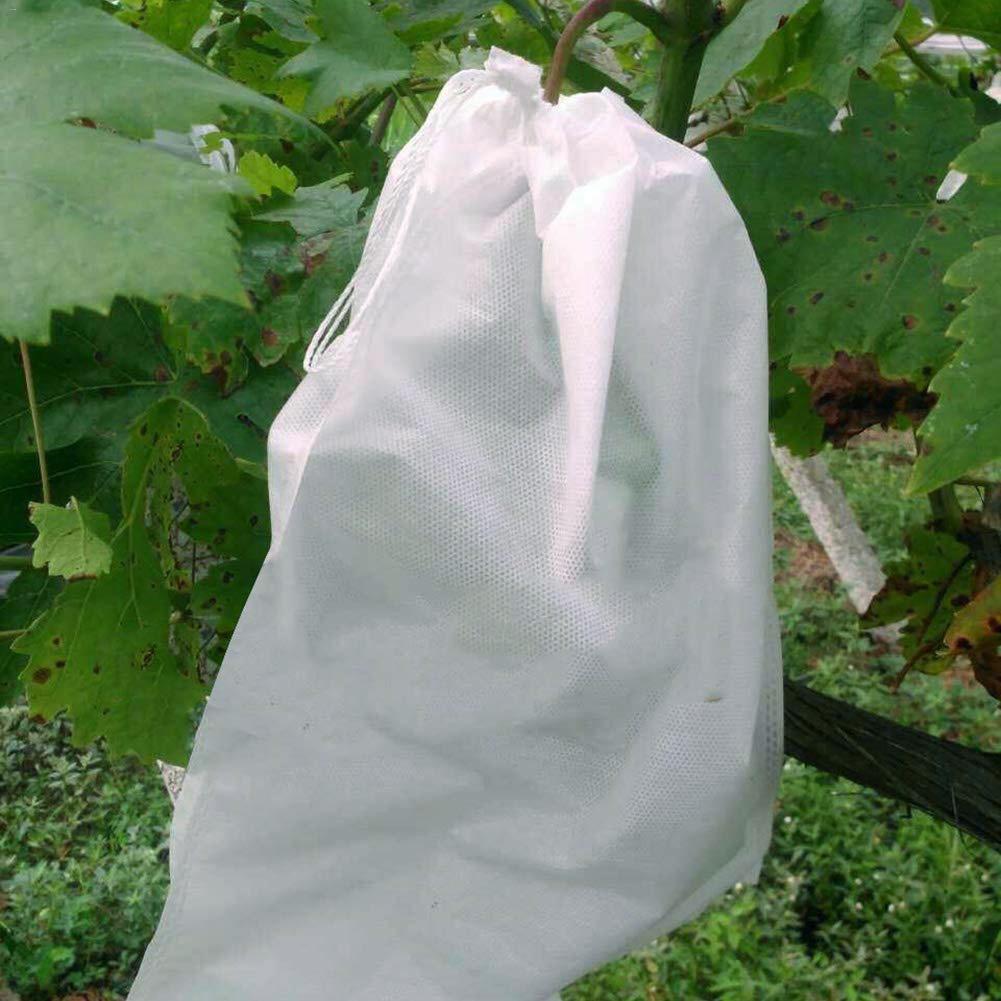 100Stck Trauben Schutz Taschen, Obst Schutz Garten Obst Blume Schutz Tasche Zu Verhindern Wespen, VöGel, kirsche Essig Fliege
