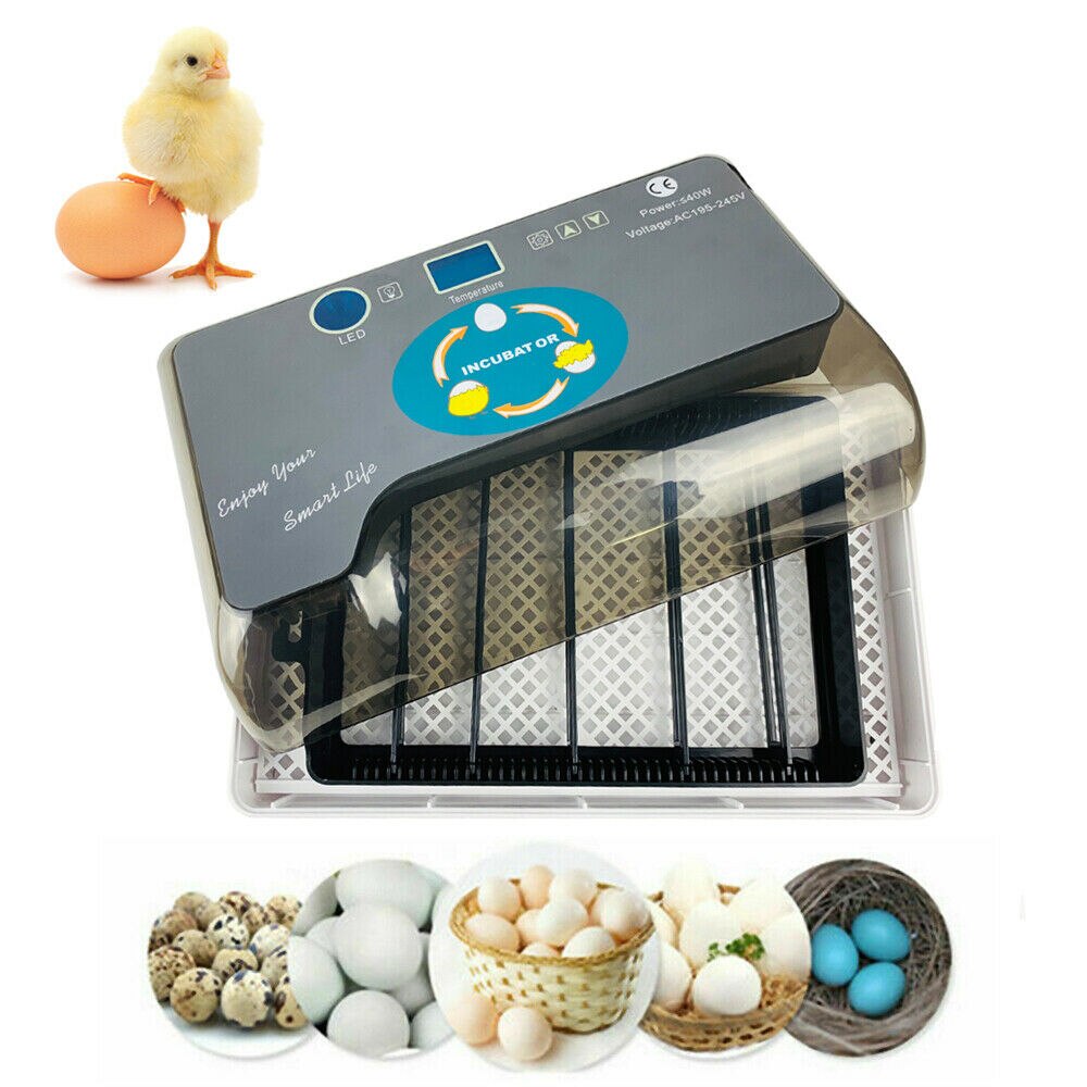 Farm Hatchery Incubator Brooder Machine 4-35 Egg Hatchers Cheap Price Chicken Automatic Eggs Incubator Bird Quail Brooder: UK Plug