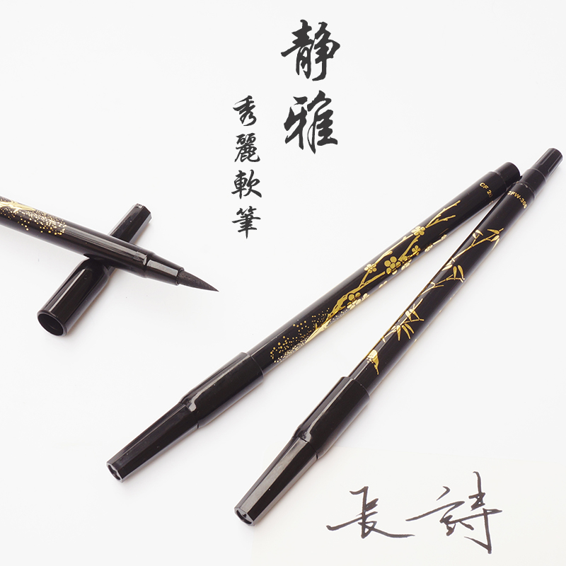 Platinum CFW-300 Twin Tip Brush Pen Scientific Calligraphy Pen Japan