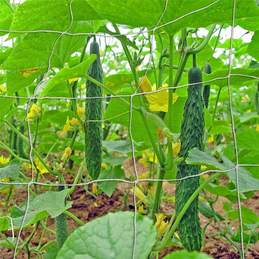 1.7 x 20m planter espalier netting plante hagearbeid vevd polyester fast nylon hagenett til bønner erter agurker tomater