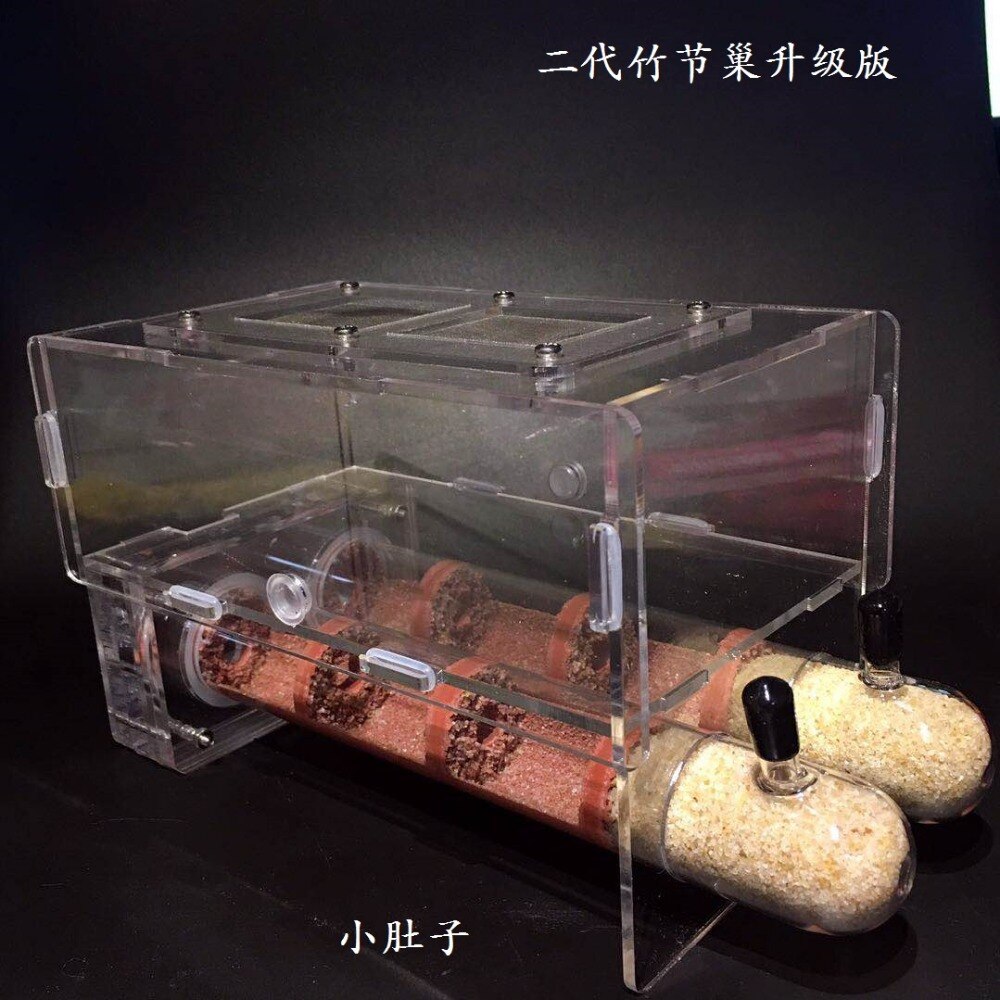 30*200mm Grote Maat Bamboe Glazen Buizen Mieren Nest Mieren Kasteel Workshop Kinderen Wetenschap Biologische Apparaat Granja de hormigas
