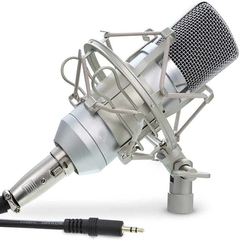 Cardioid Condenser Microphone XLR, (Noise Deduction) 360 Degree Uni-Directional Voice Recording with Mount &amp; Windscreen for PC,