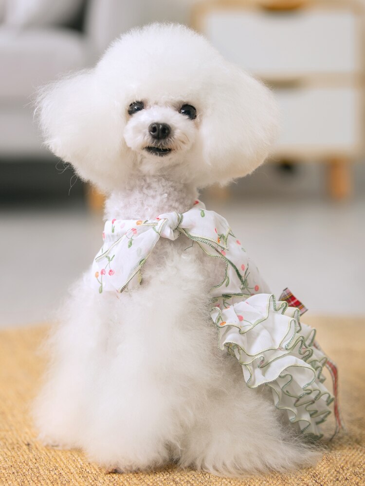 Puppy Hond Super Leuke Print Kant Prinses Jurken Mooie Hond Zomer Tutu Jurk Bovenkleding Kleding Chihuahua Poedel Honden Rok