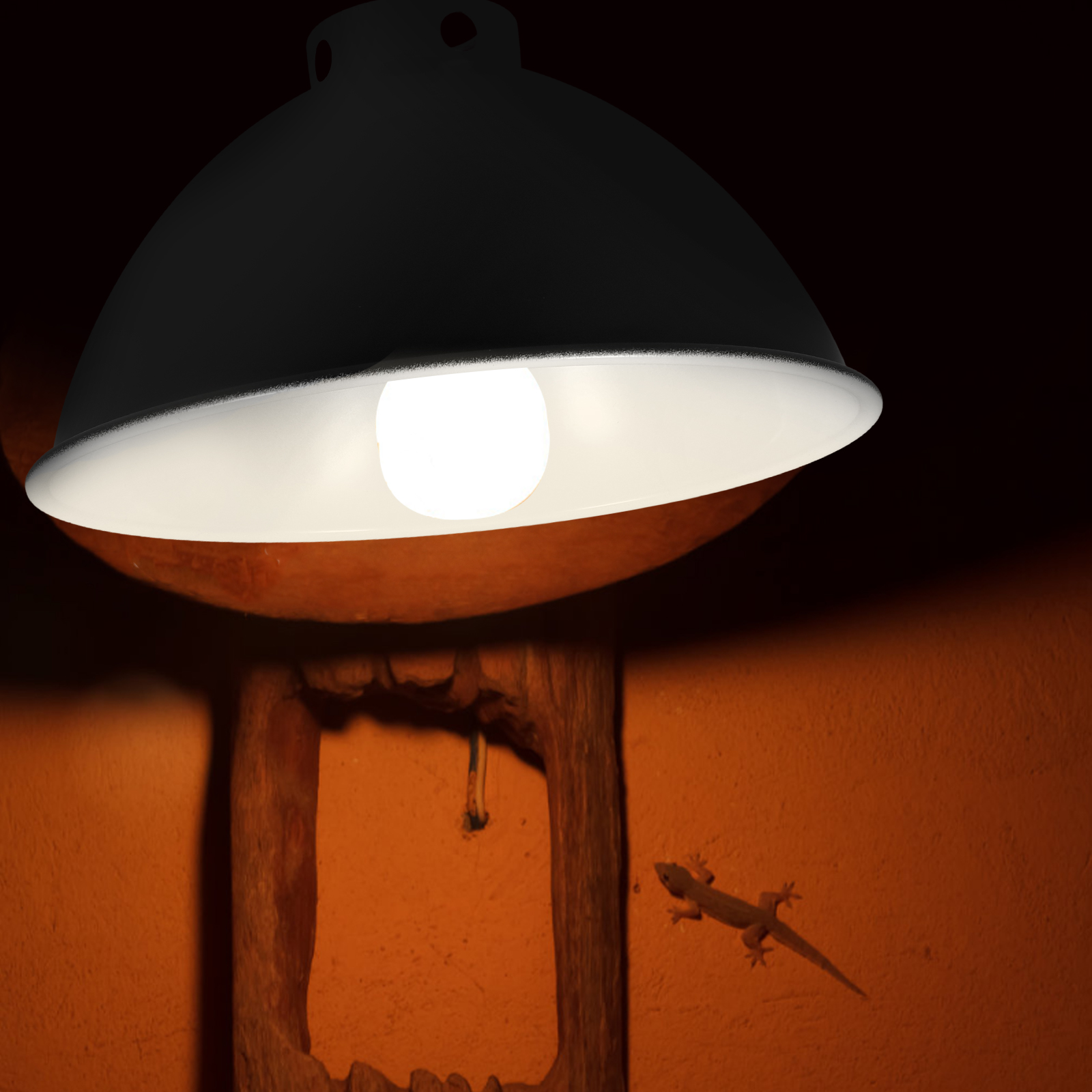 Reptiel Warmtelampafdekking Geïsoleerde reflector Metalen lampenkap voor hagedissen Slangen Schildpadden onderhoud Tankaccessoire