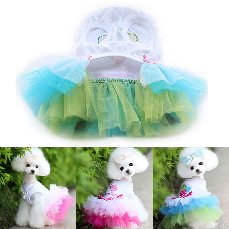 Jurk Voor Kleine Honden Hond Kleding Puppy Sweety Prinses Jurk Mooie Kant Rok Chihuahua Lente Zomer Kostuum Dierbenodigdheden