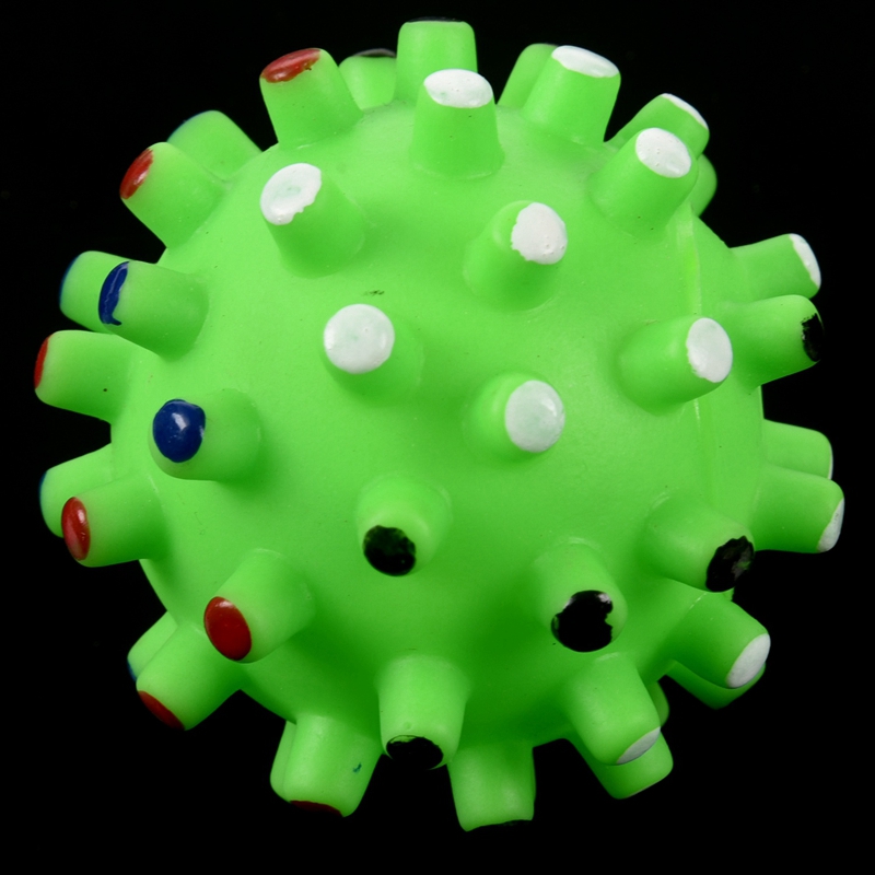 Grüner ball, haustier, hund, katze, welpe, quietscht, macht quakgeräusche, lustiges spielzeug, kaut