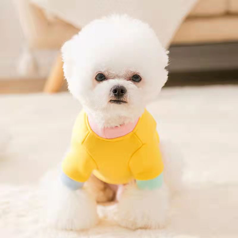 Lente Herfst Pet Dog Hoodie Korte Rok Leuke Leuke Kat Hond Kleding Voor Kleine Honden Puppy Outfit Teddy Pommeren Chihuahua