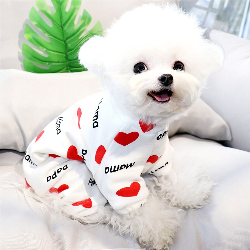 Herfst- en winterkleding huisdier plus fluwelen viervoeterkleding teddy bichon hiromi vip yorkshire melkhond kleine hondenkleding