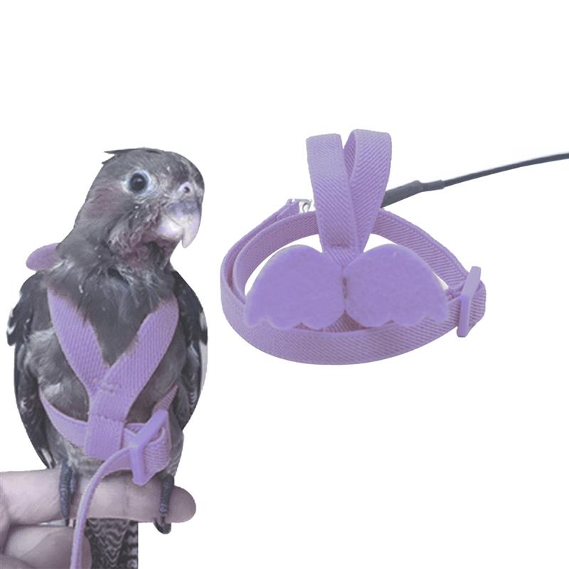 Pet Bird Harness Adjustable Parrot Harness Leash Anti-Bite Outdoor Training Flying Rope For Budgerigar Cockatiel Bird Supplies: Purple / M