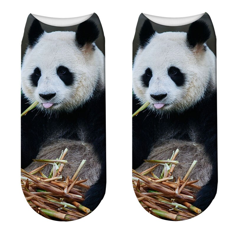 Casual, coole panda-patroon harajuku sokken voor dames, hipster, grappige katoenen korte sokken, vrouwelijke kunst, lage dunne sokken: Stijl 15