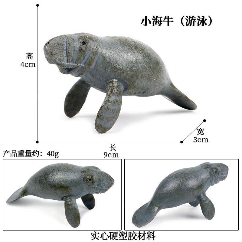 Simulatie Oceaan Dier Seal Zeeleeuw Walrus Model Action Figure Beeldjes Collectie Cognitie Educatief Childrens Toys: M-421
