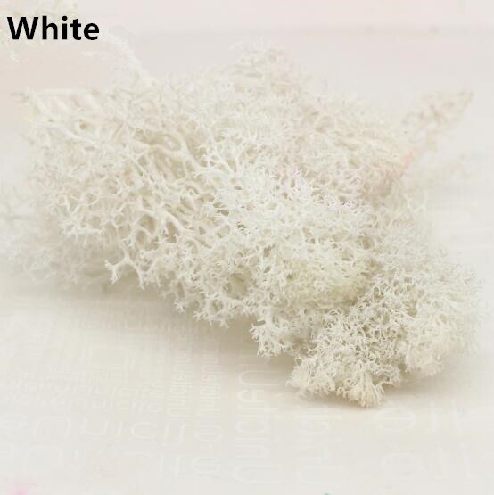 Fausse mousse artificielle multicolore, 20g, fausse plante, accessoire décoratif pour la maison, le salon et le jardin: White