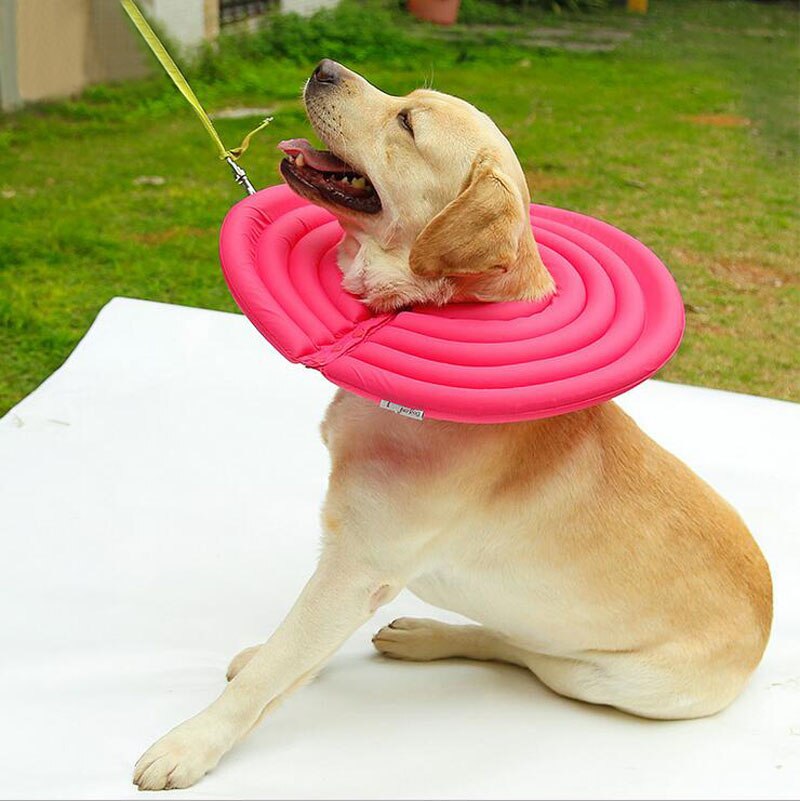 Inflatable dog protective collar for neck soft dog puppy Elizabeth Circle dog protection Pet Wound Healing collar healthy supply: Red / XS