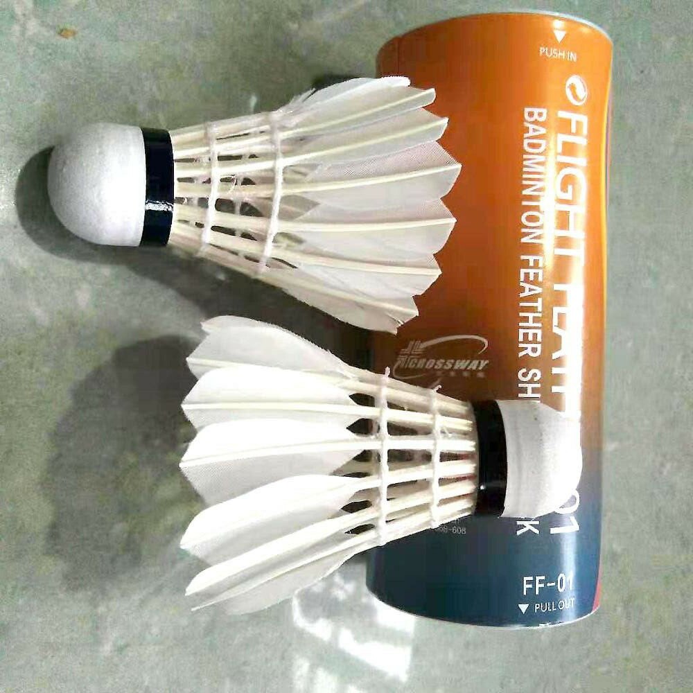 2 Pcs Professionable Badminton Racket Carbon Badminton Racket Set Familie Dubbele Badminton Rackets + Bal