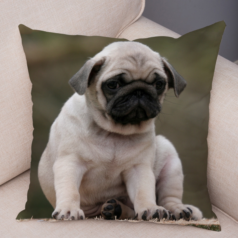 Housse de coussin carlin mignonne, oreiller décoratif imprimé pour animaux de compagnie, pour voiture, canapé, maison, en Polyester: 470*740mm / green