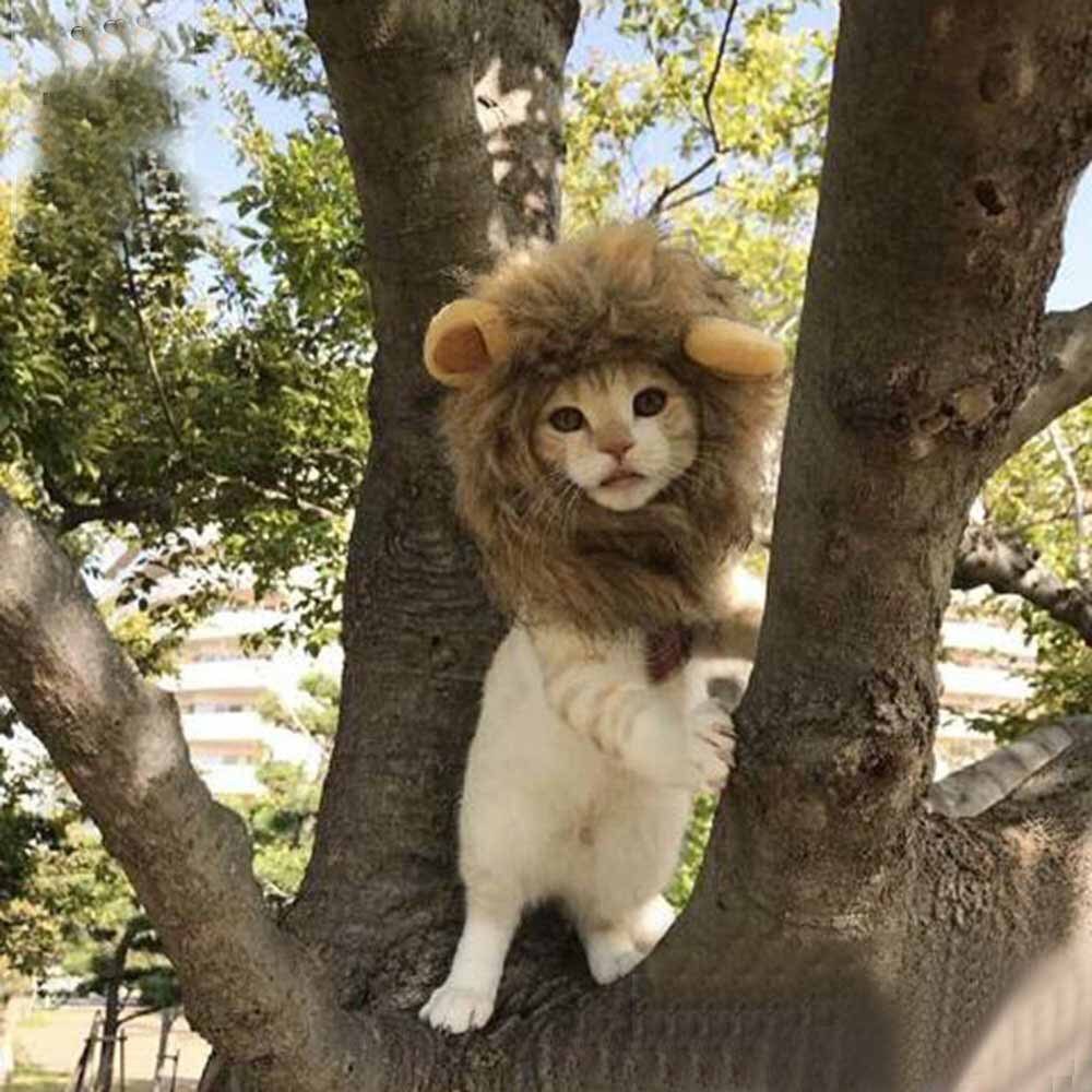 Sød løve manke kat paryk kasket hat til katte hunde halloween jul cosplay tøj kæledyr festival fest dress up kæledyr forsyninger