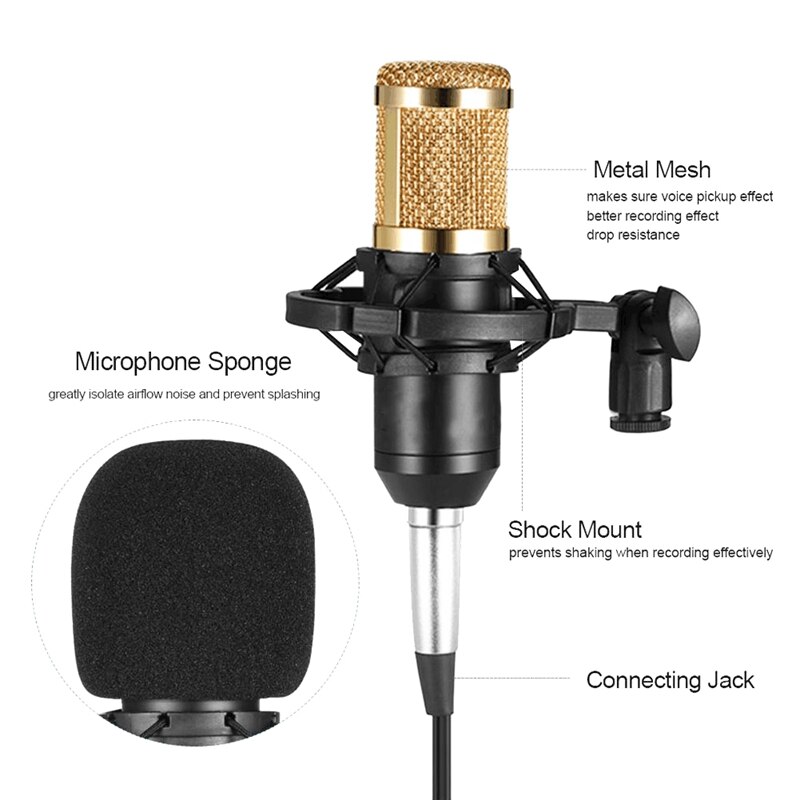 Studio Broadcasting & Recording Microphone Set Including Condenser Microphone