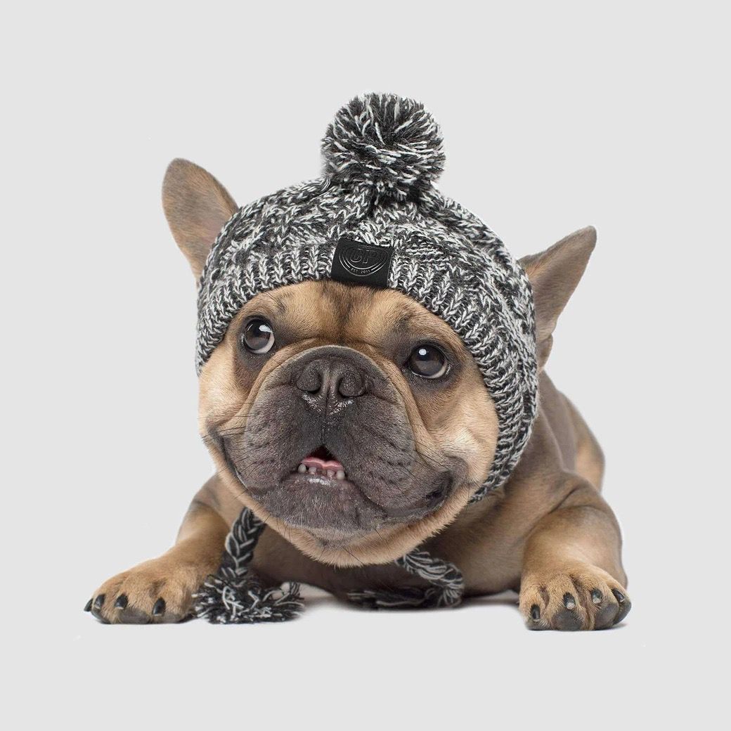 Pet Warme Muts Hond Wol Gebreide Hoofddeksels Kat Winter Outdoor Winddicht Gehoorbescherming Hoed Chihuahua Decoratie Puppy Accessoires: Grey / S