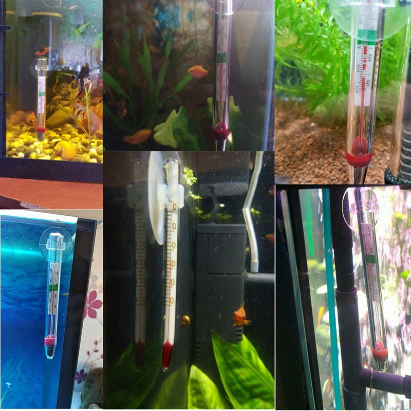 Aquarium Schwimm Thermometer mit Saugnapf Genaue Fisch Tank Glas Wand Einfache Schnell Lesen Thermometer für Fischzucht