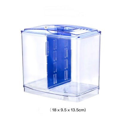 hting fish box small fighting fish tank mini creek isolation double box fish box desktop ornamental fish breeding breeding hatch: A