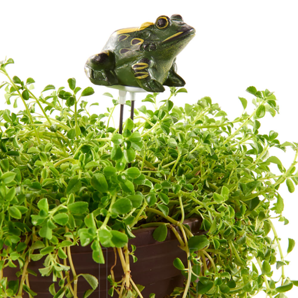 Resin Frog Soil Moisture Meter Plant Moisture Tester Sensor For Indoor Bonsai Farm Watering Reminder Garden Detector Hygrometer