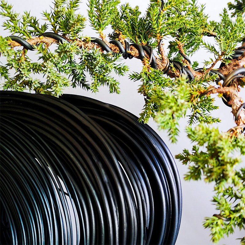 500g/Roll Bonsai Tools Metal Bonsai Wire Modeling Aluminum Wire Orchard And Garden Tools Plant DIY Shape Accessories 1mm-5mm