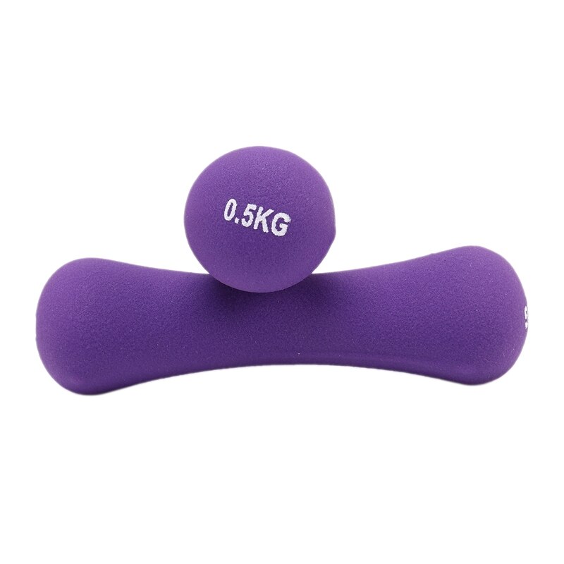 0.5Kg Dumbbells Hand Weights Fitness Equipment Weights for Home Body Building Dumb Bell Exercise Dumbell