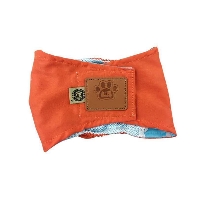4 färg bra stor hundblöja sanitära fysiologiska byxor s-xl tvättbara shorts trosor mens underkläder trosor husdjur: Orange / Xl