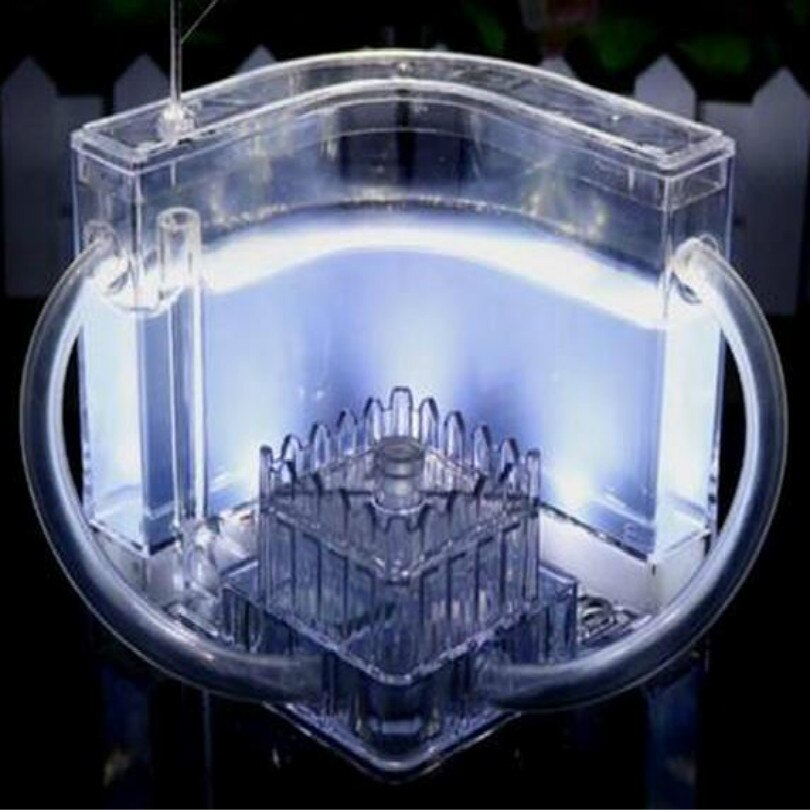 workshop for ant farm ants farm ant house Feeding box with LED: white with LED