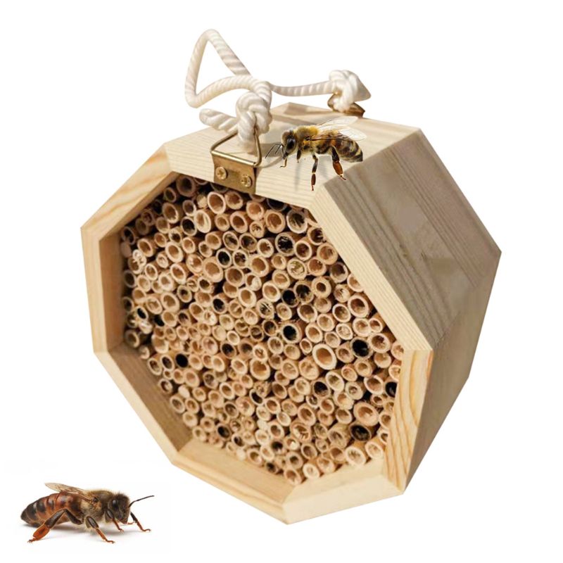 Wooden Insect Bee House Hotel Natural Bee House Hive Habitat Home for Ladybirds lacewings