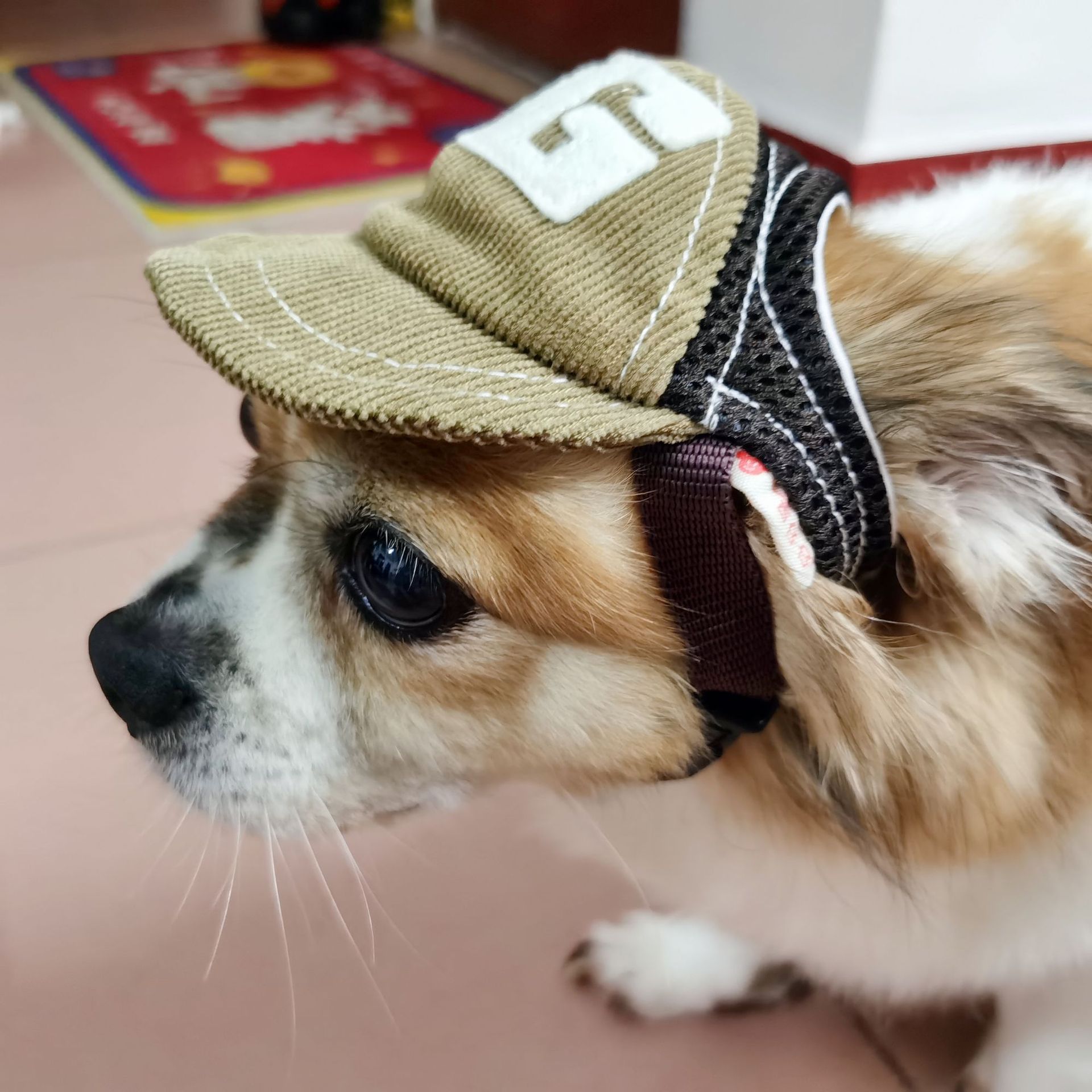 Pet Dog Cat Breathable Sunscreen Hat Winter Summer With Ear Holes Outdoor Baseball Sun Cap Supplies Travel Sport Accessories