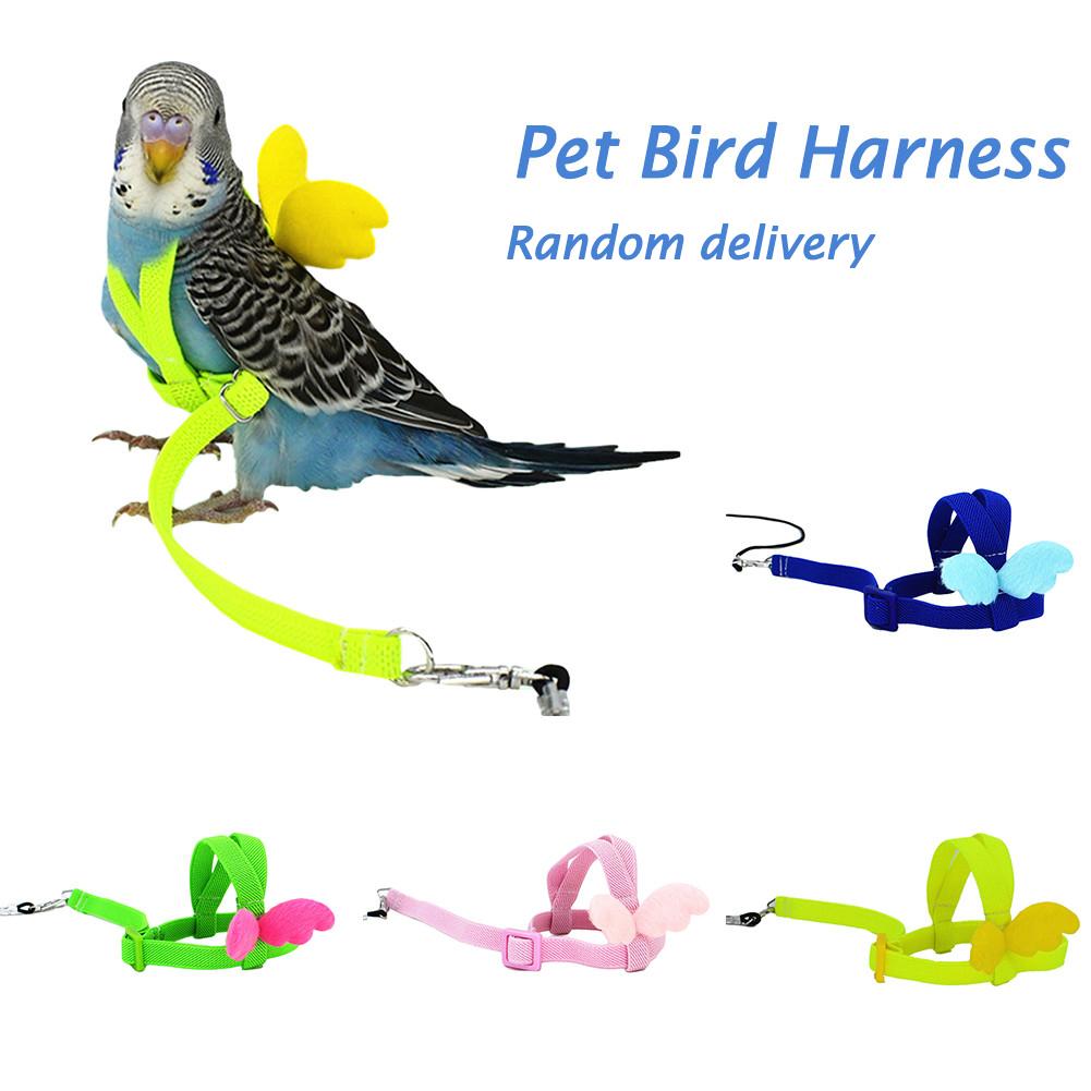 Papegaai Bird Harness Leash Vliegende Touw Bandjes Outdoor Training Trekkabel Voor Grasparkiet Dwergpapegaai Valkparkiet Kleine Vogels: Default Title