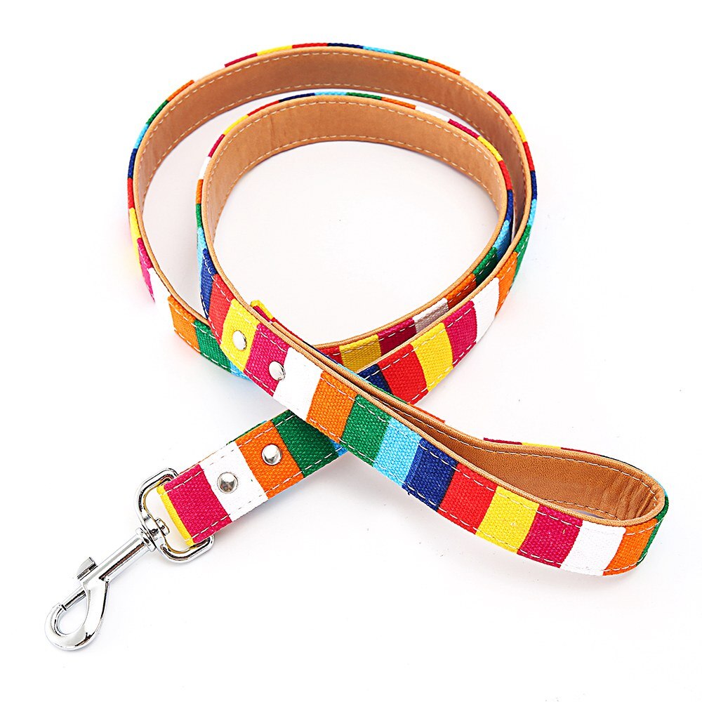 Hondenriem, kleurrijke gestreepte basis hondenriem, halsband voor honden, puppytouw, hondentuigje, chihuahua, kattenriem, huisdieraccessoires  lx0002: Kleurrijke riem / Zoals foto's
