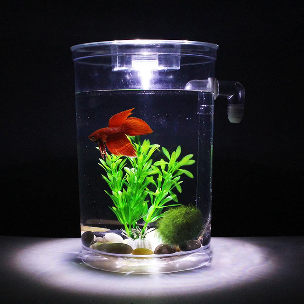 Mini pecera ecológica de escritorio para acuario, caja para peces autolimpiable