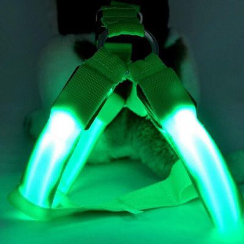 Collier Fluorescent en Nylon pour Chien, accessoire lumineux de nuit, lumière LED, harnais pour Chihuahua, Pitbull, EE5QY: Green Chest Strap / M