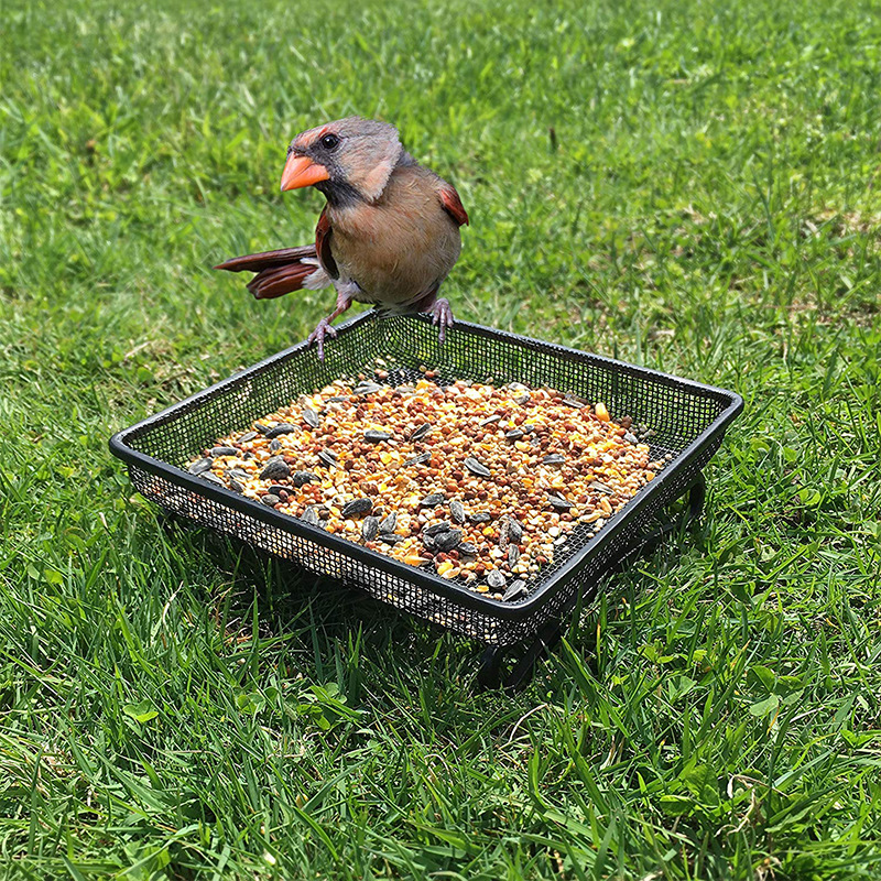 Automatic Feeder Bird Food Ground Hummingbird Feeder Metal Mesh Platform Seed Tray for Outdoor Feeders Villa Garden Decoration