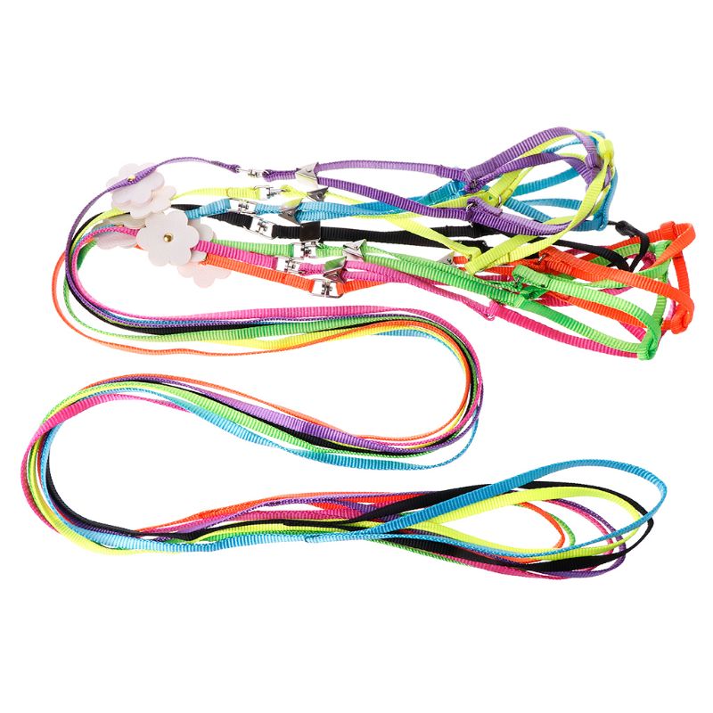 7 Colors Adjustable Bird Training Leash Portable Small Pets Walking Lead Rope Ultralight Flying Harness For Parrot Cat
