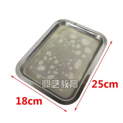 Biological equipment Anatomical plate 18*25cm teaching apparatus