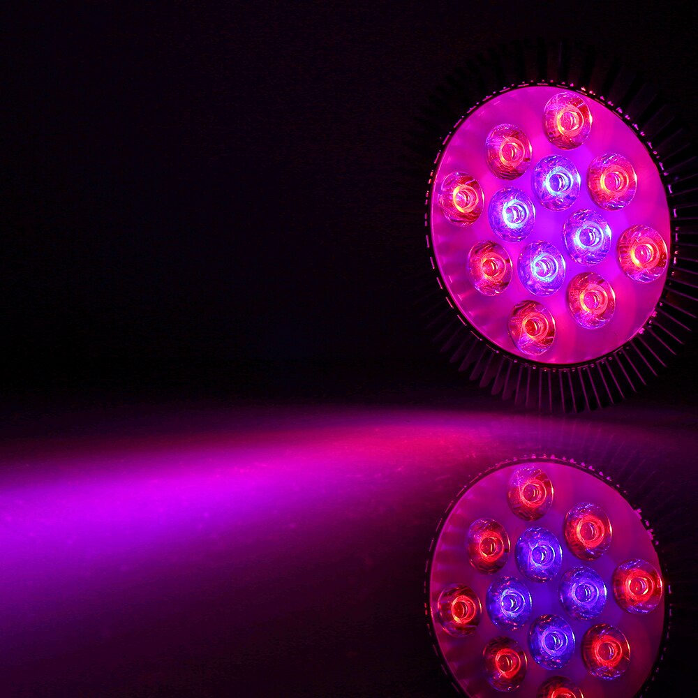 15W/21W/27W/36W/45W/54W LED Grow Light Phytolamp Growth Lamp Red+Blue LED Bulbs For flowers indoor plant hydroponic Led lighting