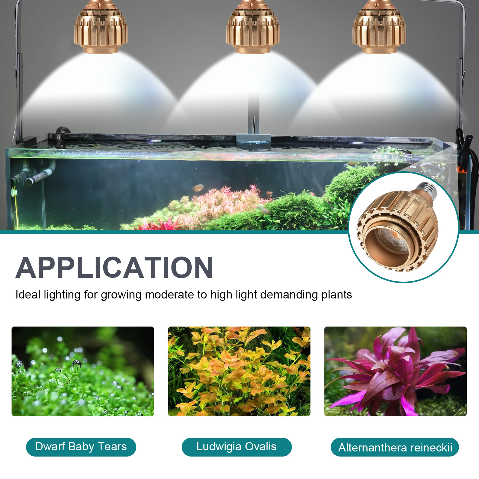 Luces de plantas de cultivo para acuario, luz LED de 3 colores, brillo ajustable, luz de pecera para tanque plantado de agua dulce