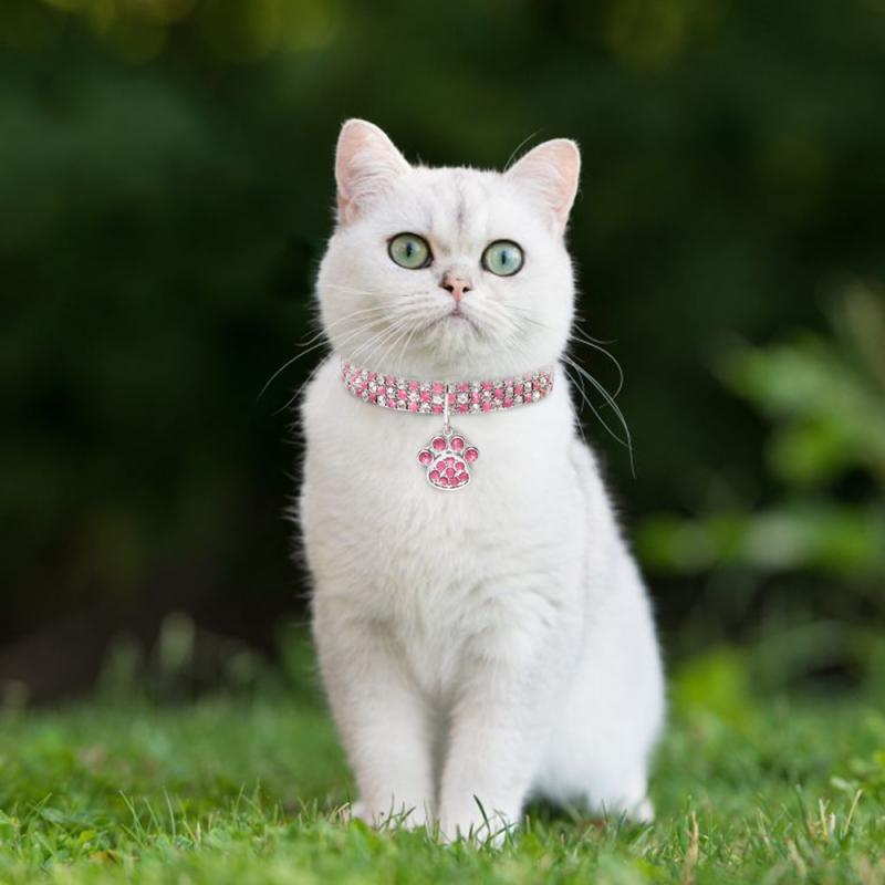 1Pc mignon cristal chat chien collier strass ligne extensible collier pour animaux de compagnie strass accessoires chaton colliers fournitures pour animaux de compagnie