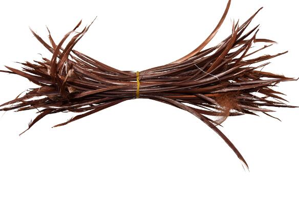 100 pièces teinture colorée coiffure indienne cheveux étendre plumes d'oie bricolage fête mariage broche accessoires tête ornements: brown