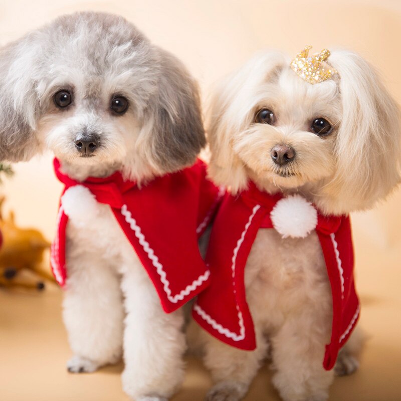 Cape de noël pour chats | Rouge, Costume de noël pour chiens, accessoires de chat, petite cape pour chatons, Halloween chien, Costume d'animaux domestiques, fournitures S M L