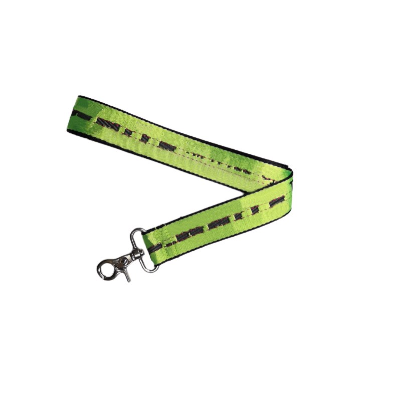 Halsband En Riem Set Mode Nylon Pet Collares Touw Voor Kleine Middelgrote Honden Halsbanden Perro Chihuahua Bulldog Perros Acesorios: Green Dog Leash