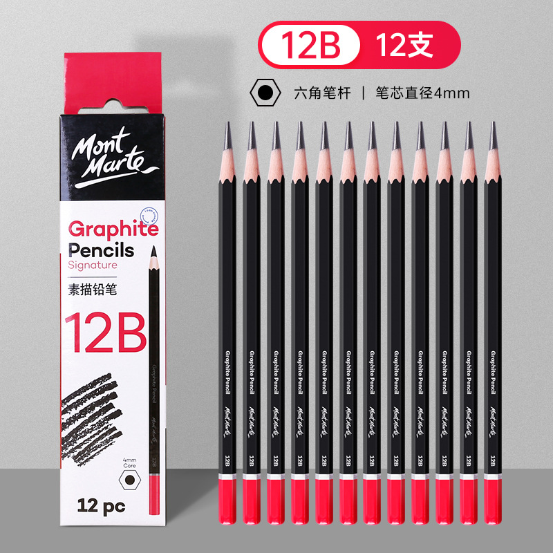 12pc Charcoal Graphite Sketch Pencils 3H 2B 7B 12B Soft Medium Hard Art Painting Wood Drawing Pencil For Artist Kid: 12B
