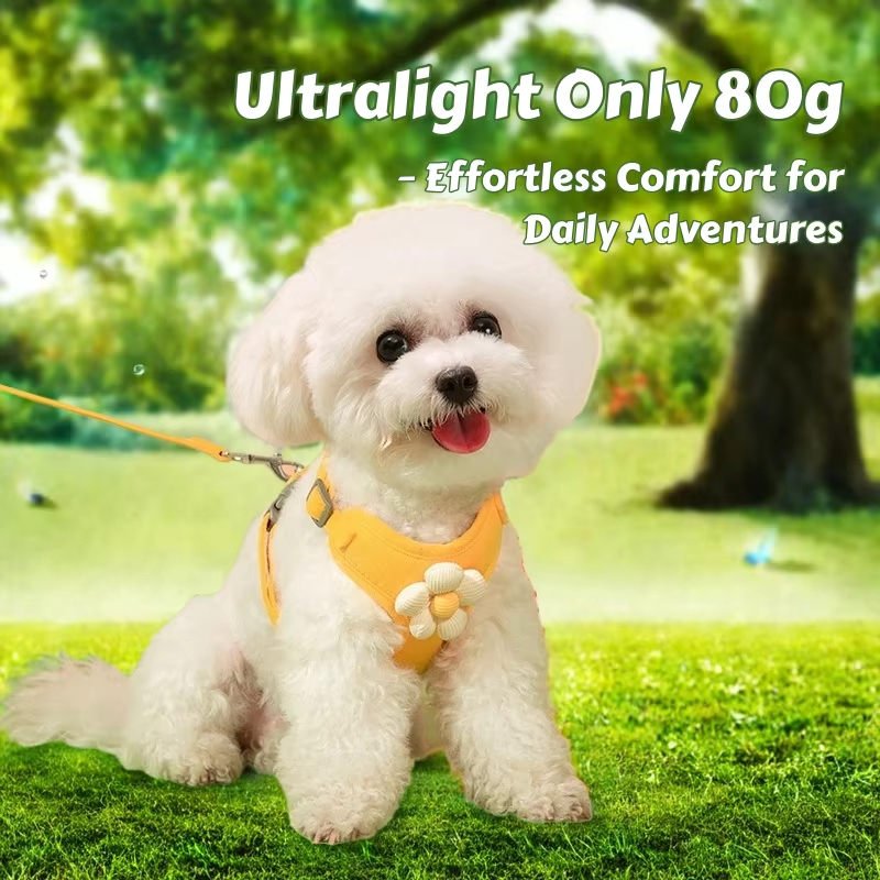 Adjustable Vest-Style Dog Cat Harness and Leash Set Dog Accessories for Small Dogs Walking Pet Vest Harness