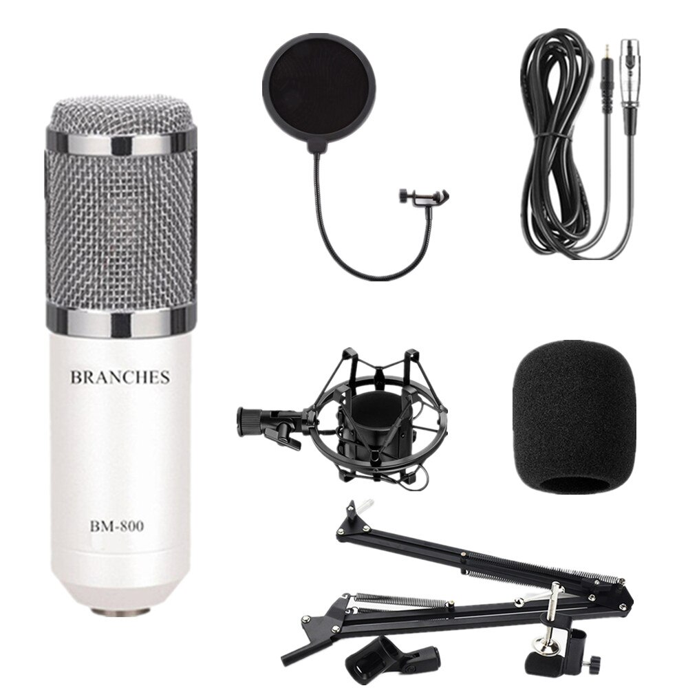 BM800 karaoke microphone studio condenser mikrofon KTV BM 800 mic For Radio Braodcasting Singing Recording computer bm-800: Package2 White