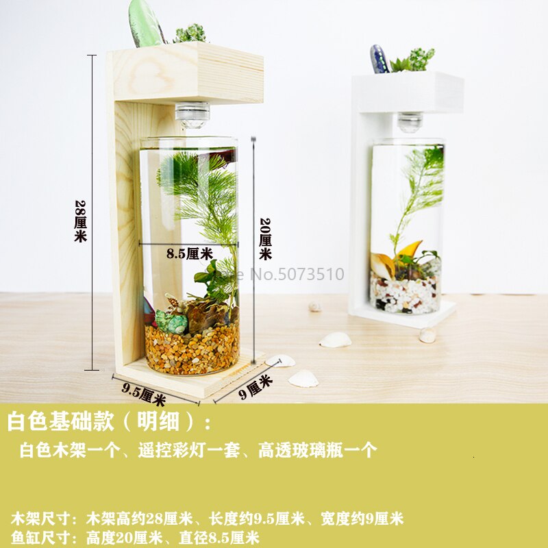 Desktop Fish Tank Home Desk Ecological Microscopic Fleshy Thai Aquarium Plastic: white