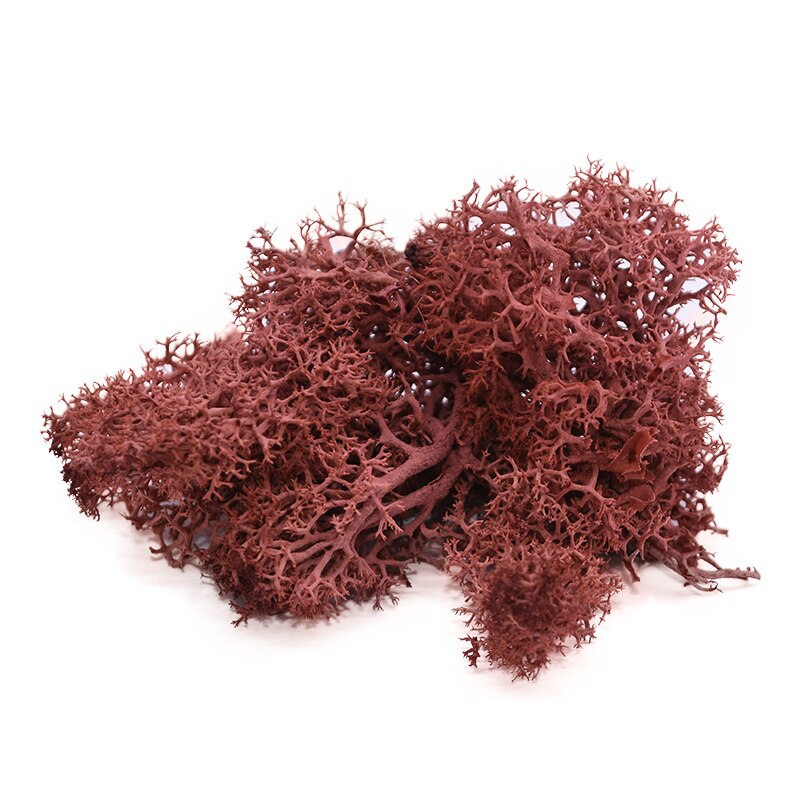 40g kunstig grønn plante mose diy bakgrunn vegg hage hjemmedekorasjon mini mikro landskap tilbehør: B04