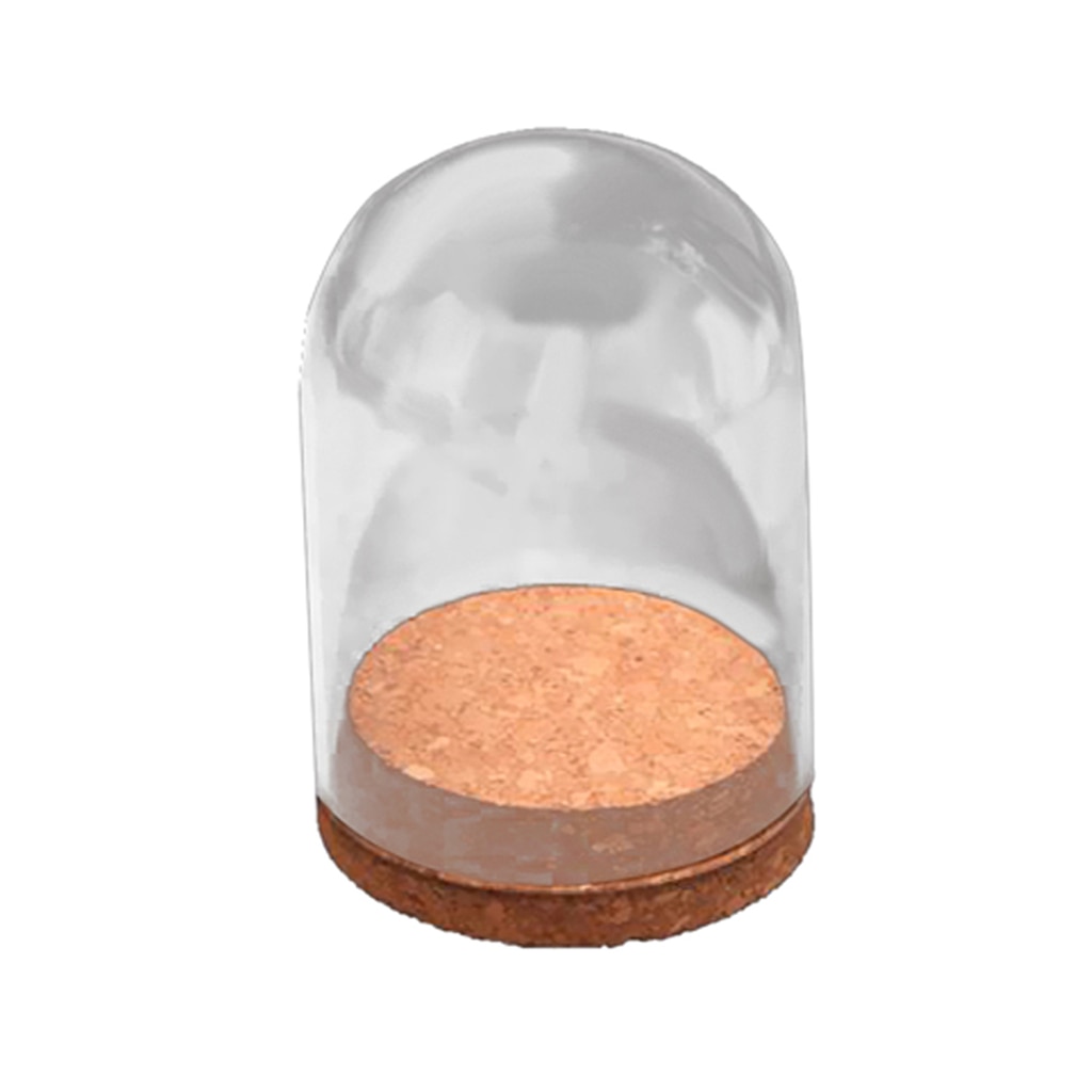Heldere glazen stolp met rustieke houten voet, antieke stolp, displaykoepel voor planten, vetplanten, feeërieke lichtslingers, fotodecoratie voor thuis.